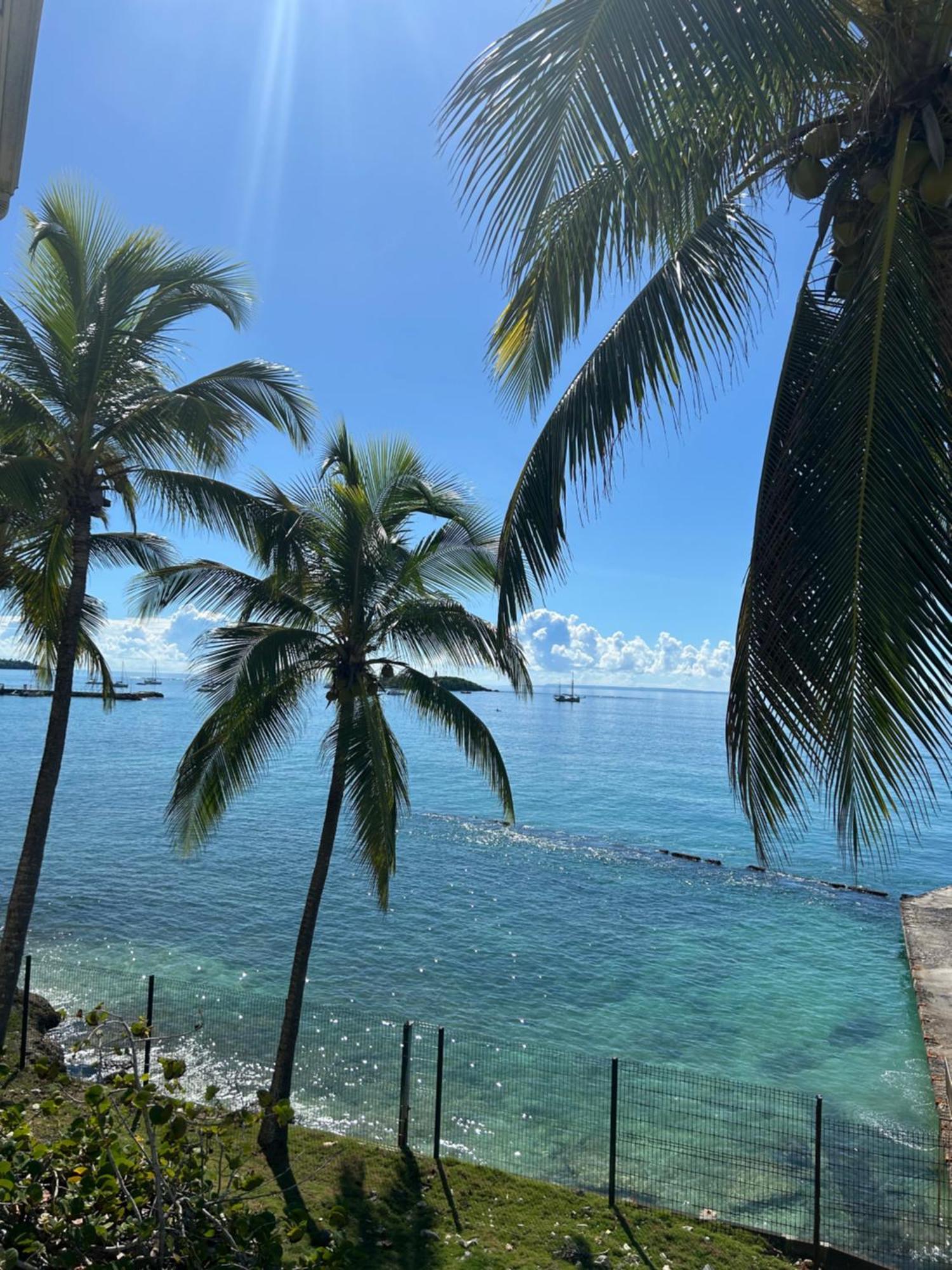 Manoé * Le Gosier (Grande-Terre)